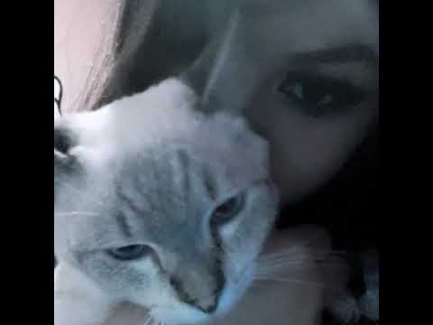 lilpablo336 x 4jay - geekd up