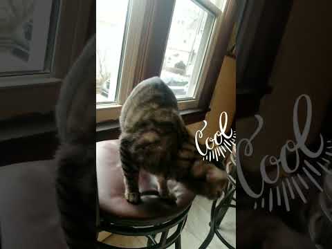 I like its!!! Me gusta esto!!😀😀😀