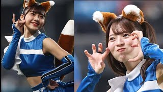 2100キロ先に届いたハムチアの大量卒業[Japan news]　異国でも相次ぐ“嘆き”「とても悲しい」