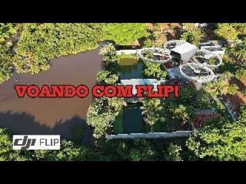 FLIP Goianira-Goias 30/11/2025