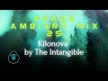 Space Ambient Mix 25 - Kilonova by The Intangible