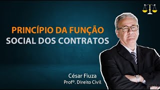 Princípio da função social dos contratos