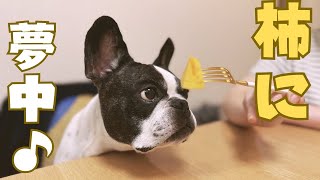 みんなで柿を楽しみました♪