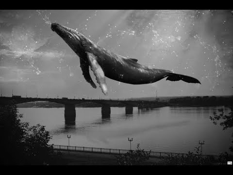 WOODJU – V Λ C U U M