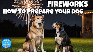 Dogs and Fireworks!! How To Prepare Your Dog For The Fireworks