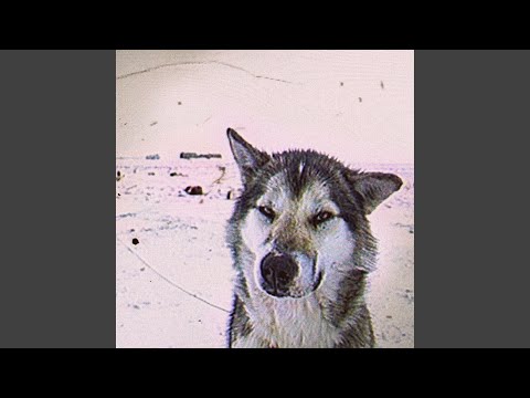 ruined another day doing nothing