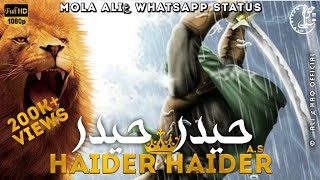 13 Rajab Status  Haider Haider  Wiladat Mola Ali W