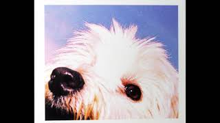 MOLOKO - &quot;Sing It Back&quot; (Herbert&#39;s Tasteful Dub) [1999]