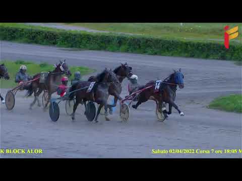 VII Corsa del 2 Aprile 2022 - 5 Anni ed oltre - Metri 2000