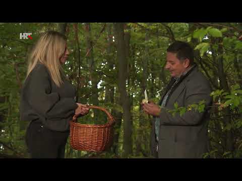 Reportaže: Gljive | HRT