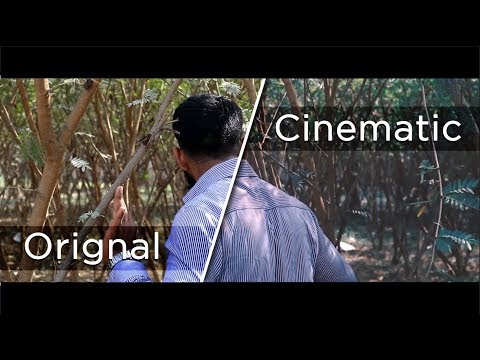 Chandra Vishal  Cinematic l...