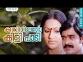 കരളിതിലേതോ കിളി പാടി HD Karalithiletho Kili Paadi Innallenkil Na