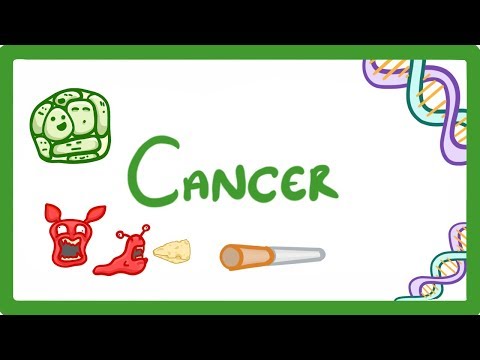 Kingdoms of Life Animals Plants Fungi Protoctists Bacteria and Viruses 1