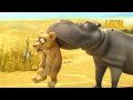 Youth Serum Leon The Lion 35 Compilation Crazy Animals