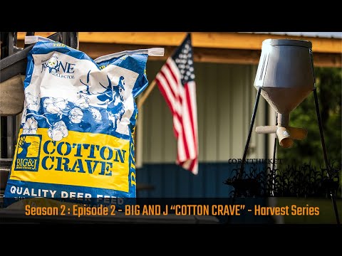 Using Big and J Cotton Crave to supplement Deer