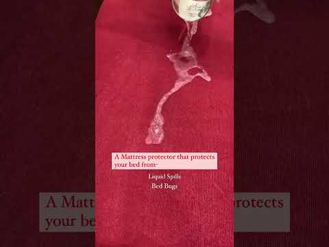 Elastic Mattress Protector