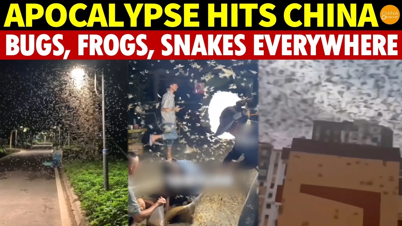 Apocalypse Hits China: Black Clouds of Bugs, Frogs, Snakes and Crows Everywhere