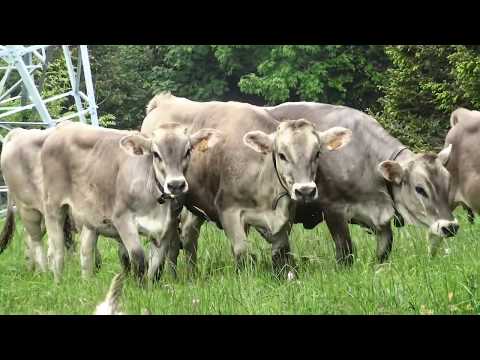 Walking the Prosecco Hills, Italy, with Exodus Travels