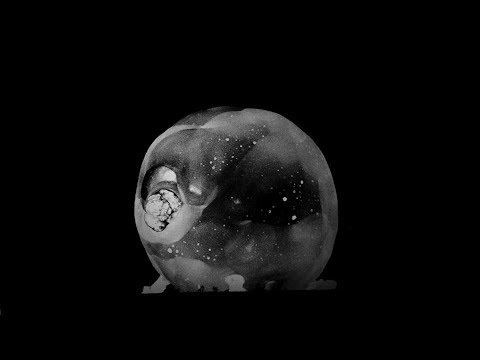 Shapednoise - Escalation