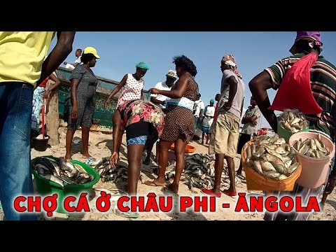 Cuộc Sống ở Châu Phi - Vlogs 2 : Chợ Cá Của Người Dân Châu Phi - Ăngola