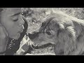 While You Wave Goodbye (Rest In Peace Bella) - carla While You Wave Goodbye (Rest In Peace Bella)