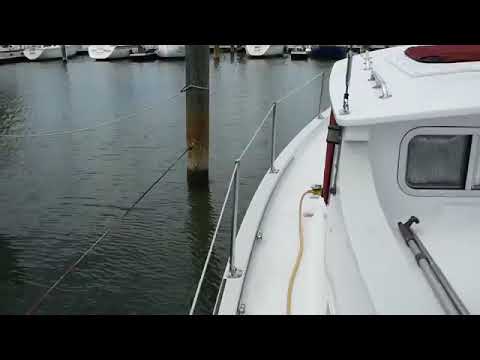 Willard 30 Pilot House Vega Horizon - Boatshed - Boat Ref#261324