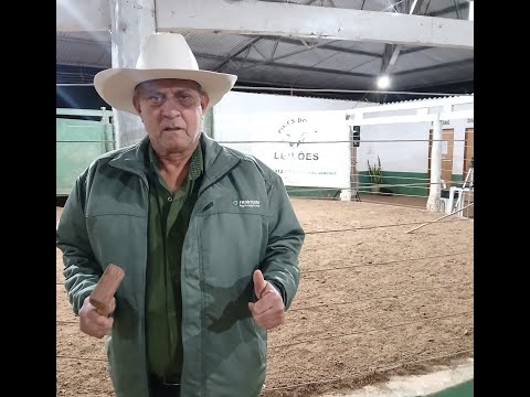 PIRES DO RIO LEILÕES - PIRES DO RIO - GO 08/09/2025