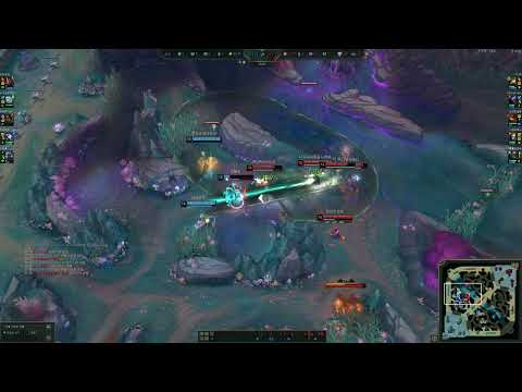 비에고 춤추는거 보여드림