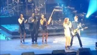 Céline Dion (Bercy 2013) J&#39;irai Où Tu Iras