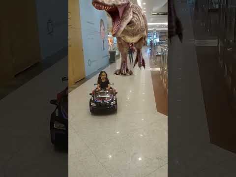 Tiranossauro Rex - mundo dos dinossauros #tiranossauro #dino #dinosaurios #dinosaurios