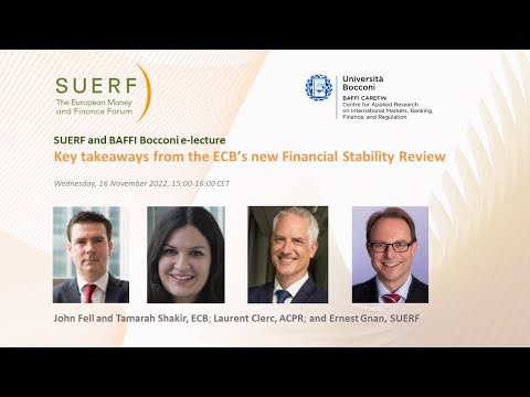 SUERF - ECB Financial Stability Review Nov 2022 - Fell Shakir Clerc Gnan - 20221116