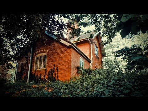Abandoned House Hidden In The Woods