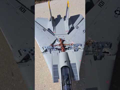 The folding wings on this model 👌 F-14 from Freewing #model #radiocontrol #tomcat