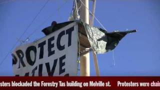 Protest at Forestry Tas