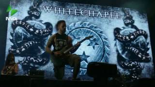 Whitechapel  - Live In China MIDI Festival (2017.4.30)