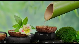 Sanación con sonido, Música Relajante Alivia el Estrés, Ansiedad y Depresión, Sana la Mente