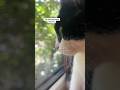 My Tuxedo Cat Chirping To Intimidate Birds