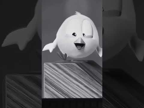 #fypyoutube #fypシ #fypシ゚viral #fypage #maldonado #puntadeleste #yosoydelos7mil #argentina