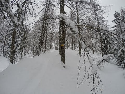 Scialpinismo in Valmalenco - 24/11/19
