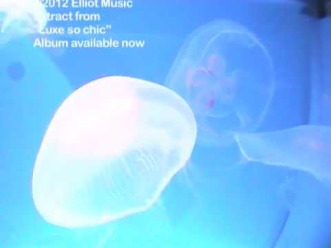 mr untel - Dub Step de Luxe