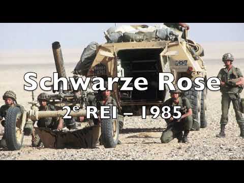 Schwarze Rose, 2e REI, enregistrement de 1985