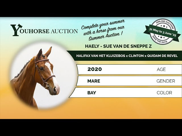 Haely - Sue van de Sneppe Z
