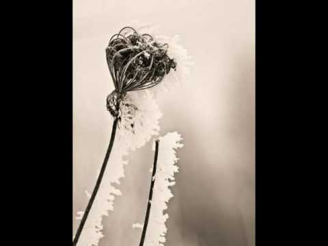 Karoona ir Monika - Likimo neapgausi