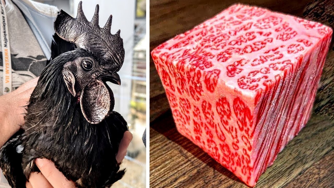 Comidas Que Solo Los Ricos Pueden Pagar