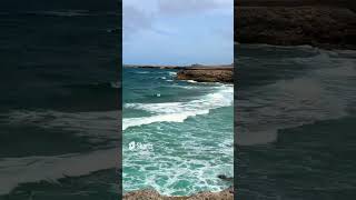 Cruise Shore Excursion Shorts - Shoreline of Aruba on the Aruba UTV Tour Adventure Cruise Excursion