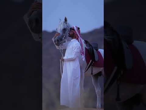 New Arabic Ringtone | New Arabic & English Remix Ringtone #shorts #trending #new #shortvideo #viral