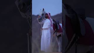 Download lagu New Arabic Ringtone | New Arabic & English Remix Ringtone #shorts #trending #new #shortvideo #viral mp3