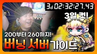 [메이플 탠서] 초스피드 무자본 260 달성! 버닝섭 꿀팁 모음