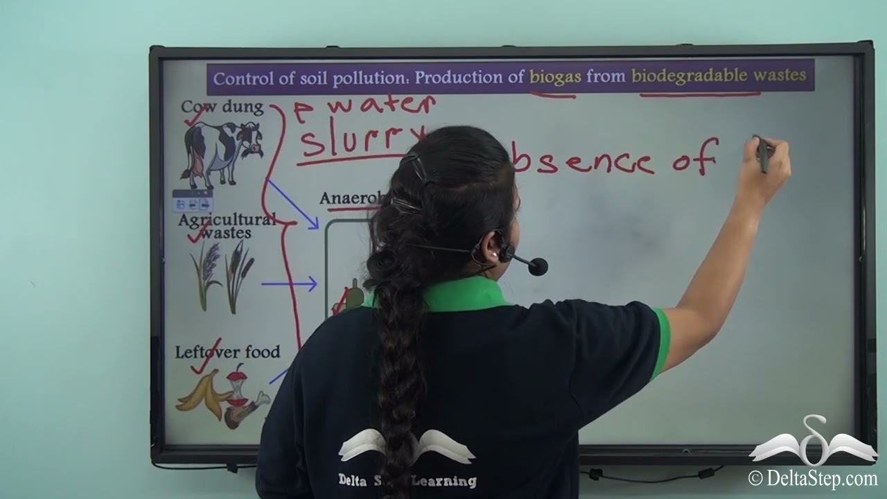 Effects and Control of Soil Pollution