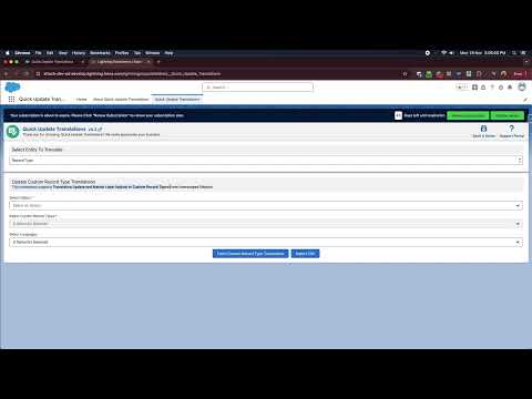 Record Type Translations Demo